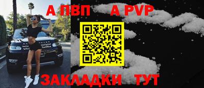 крисы Кулебаки