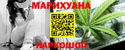 шишки Лесосибирск