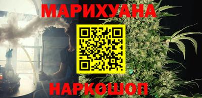 шишки Лесосибирск