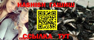 крисы Кулебаки