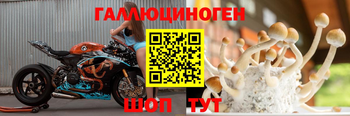 Якутск  Псилоцибиновые грибы прущие грибы  Псилоцибиновые грибы MAGIC MUSHROOMS  Вход с VPN 